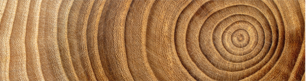logs-header